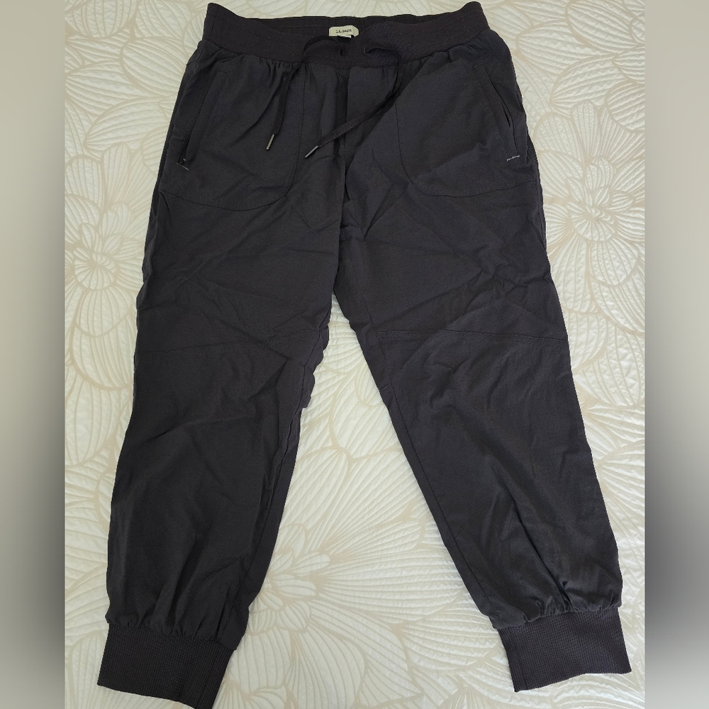 Women's Vista Camp Pants, Jogger Medium PETITE